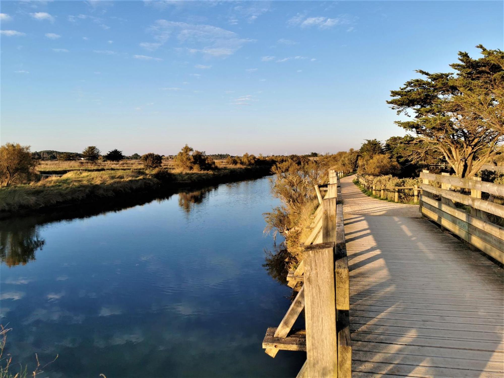 La Lezardiere A Deux Pas Des Quais Villa Les Sables-d'Olonne Ngoại thất bức ảnh